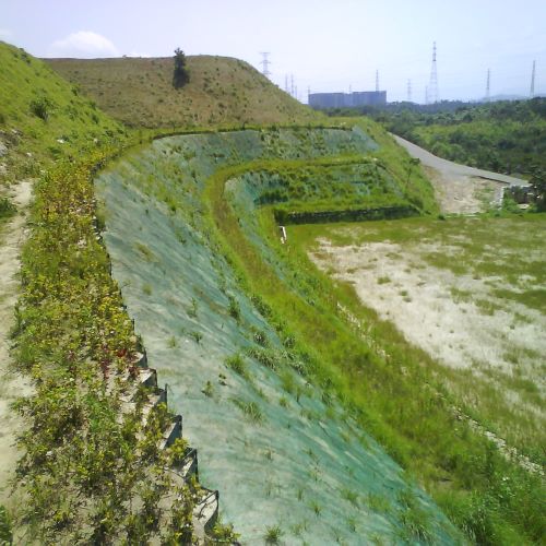 抗沖蝕植生網毯B