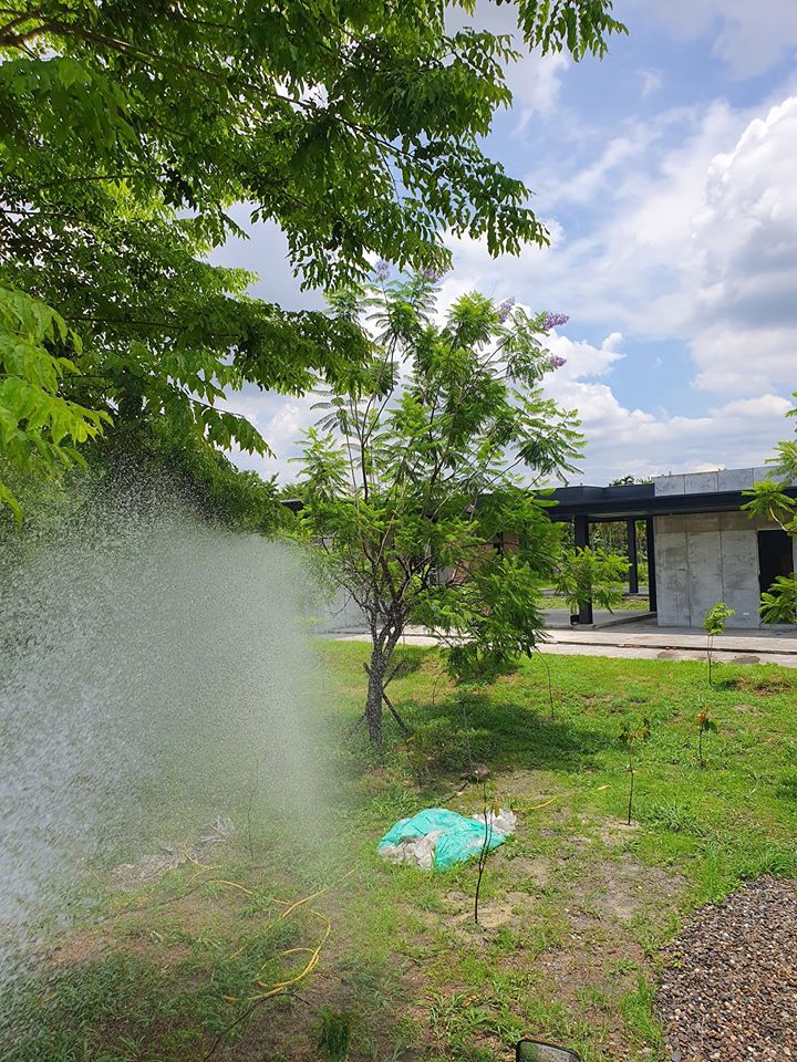 灑水車-天氣炎熱 樹苗灑水養護