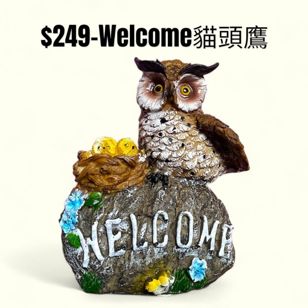WELCOME貓頭鷹-249