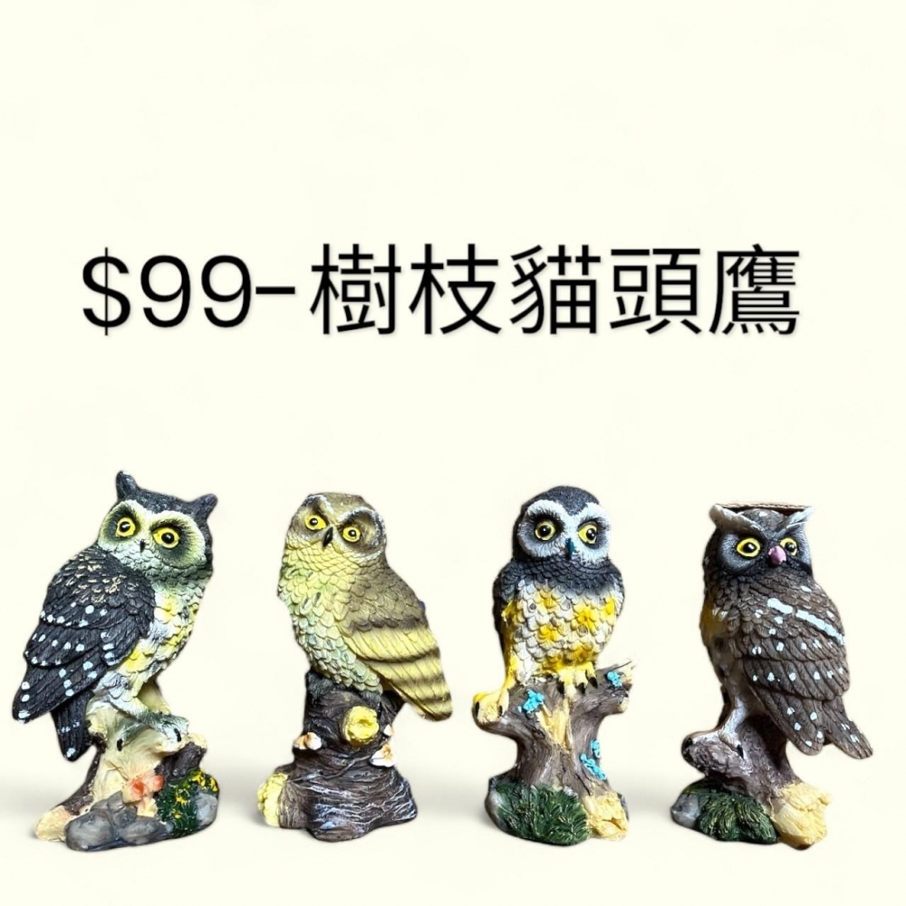 樹枝貓頭鷹
