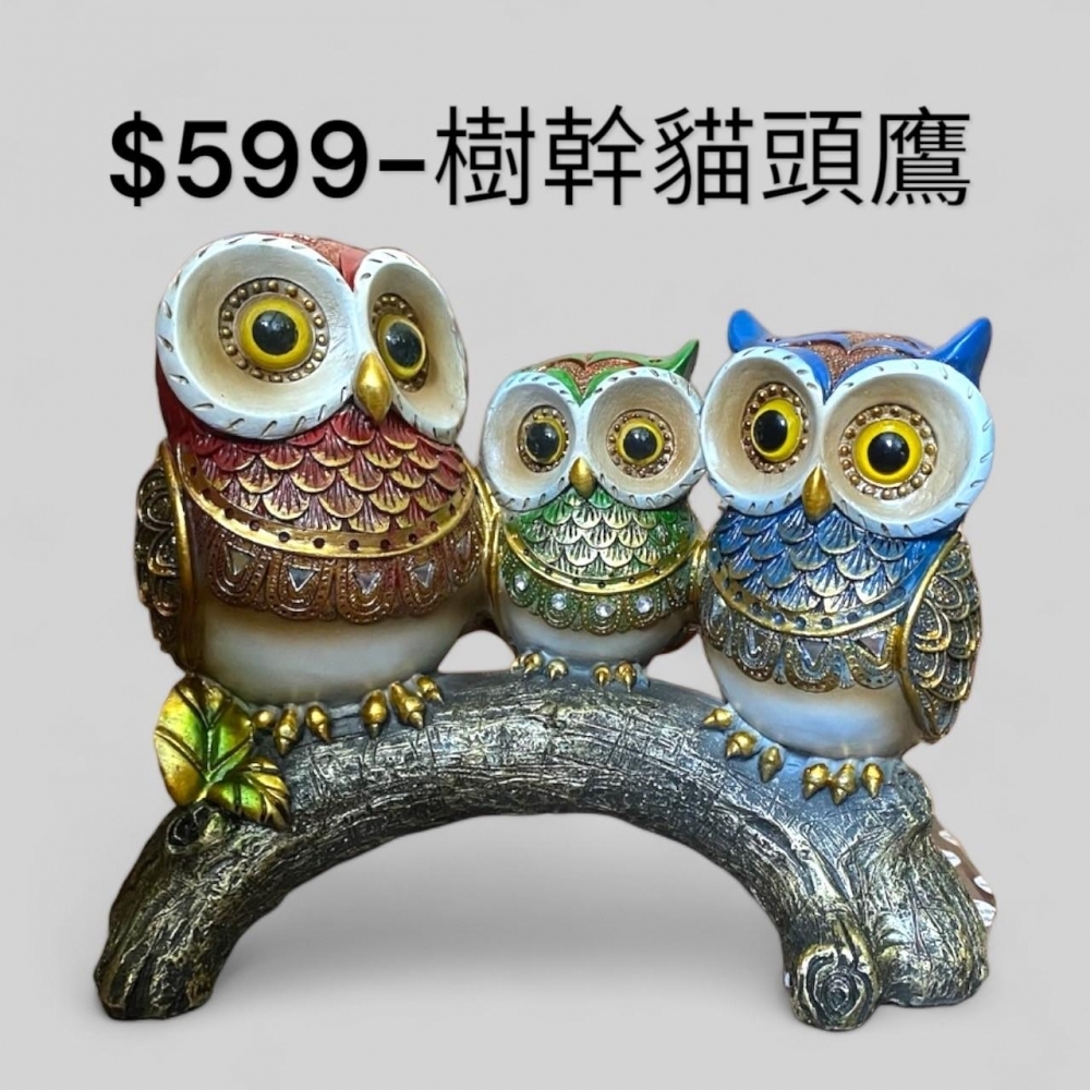 樹幹貓頭鷹