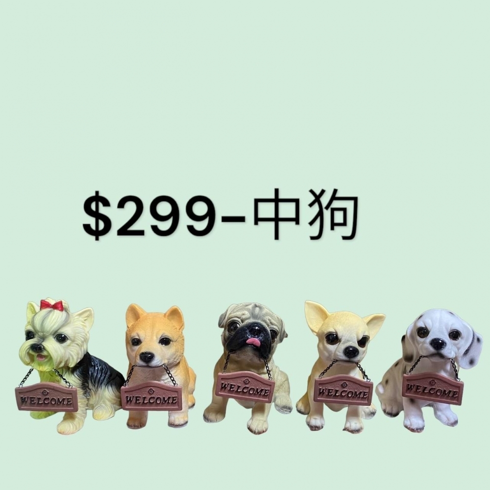 中狗