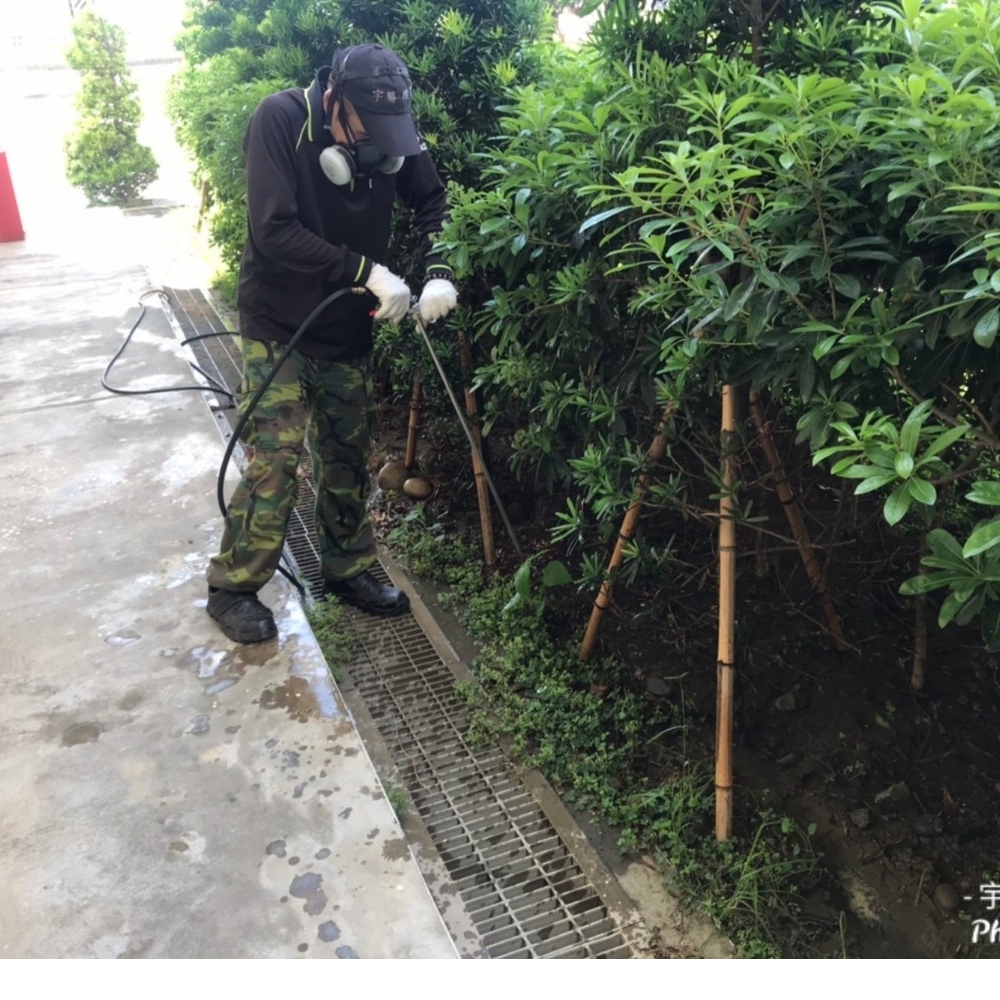 火蟻防治