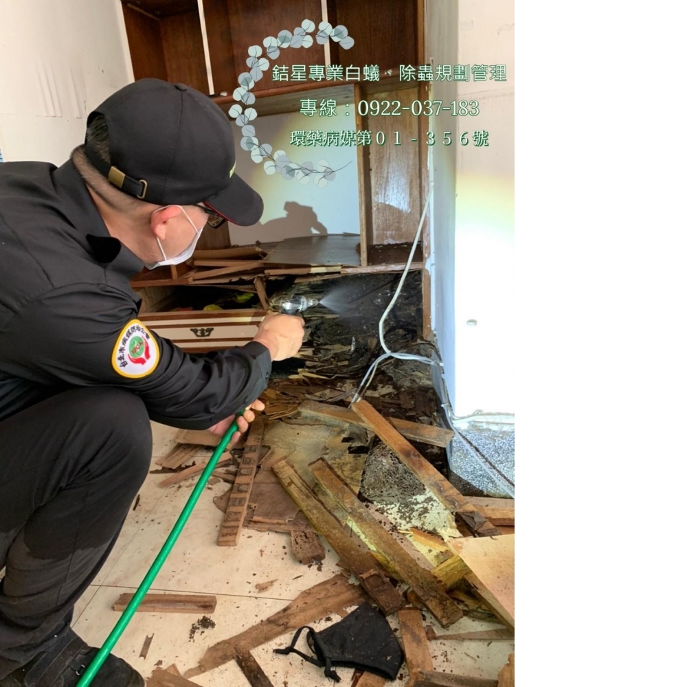 台中除白蟻推薦-銡星