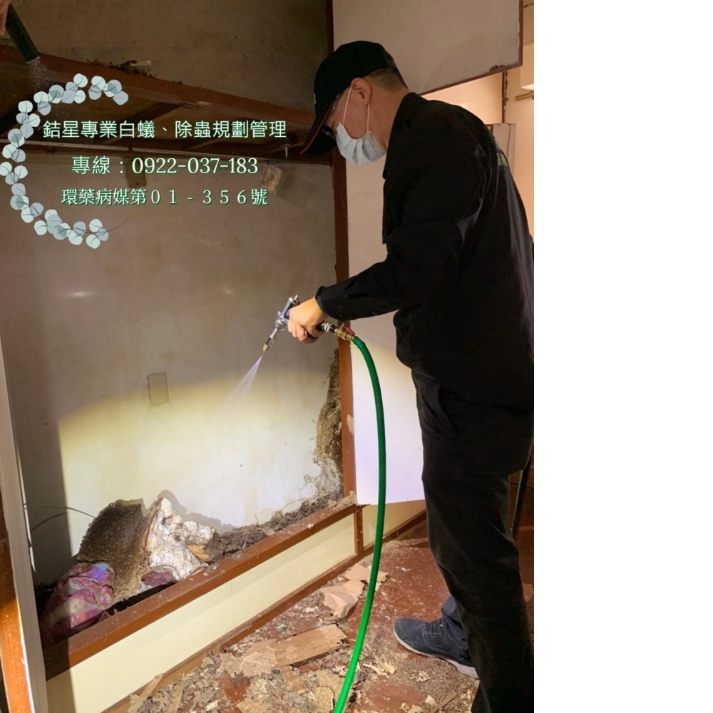 台中除白蟻推薦-銡星