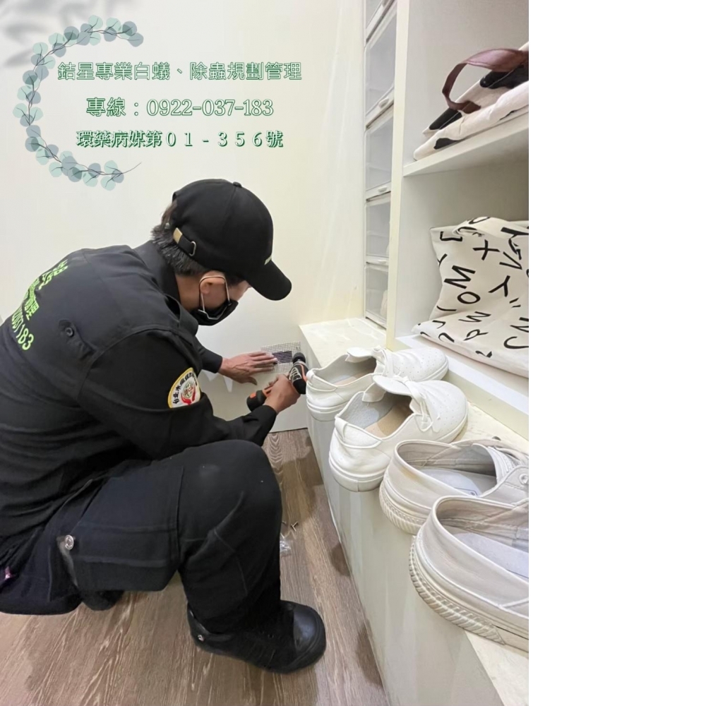 台中除老鼠滅鼠-銡星