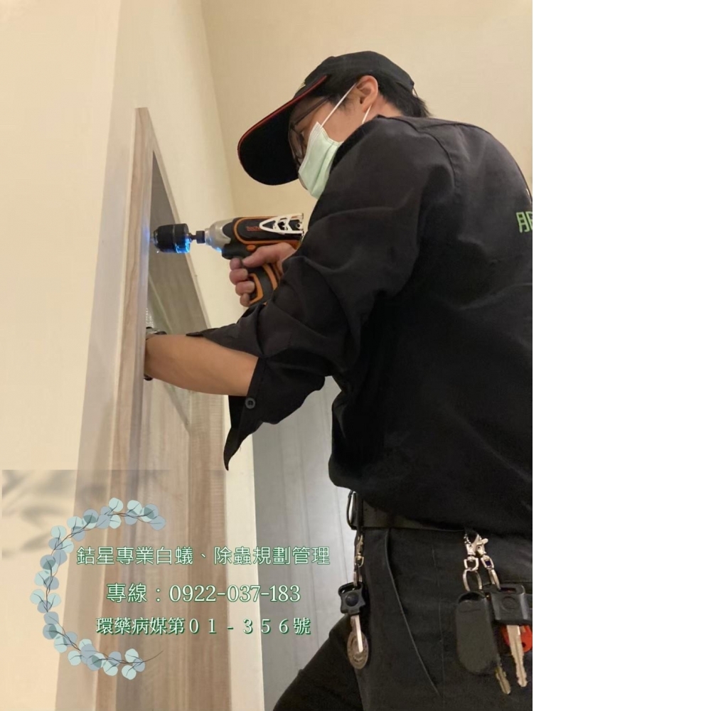 台中除老鼠滅鼠-銡星