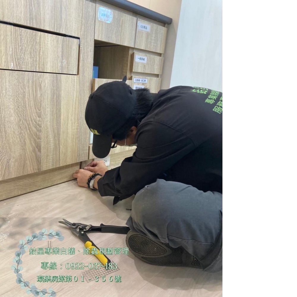 台中除老鼠滅鼠-銡星