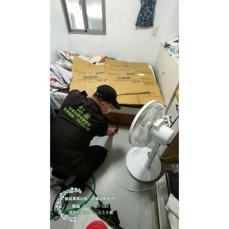 新北住家、白蟻防治-銡星