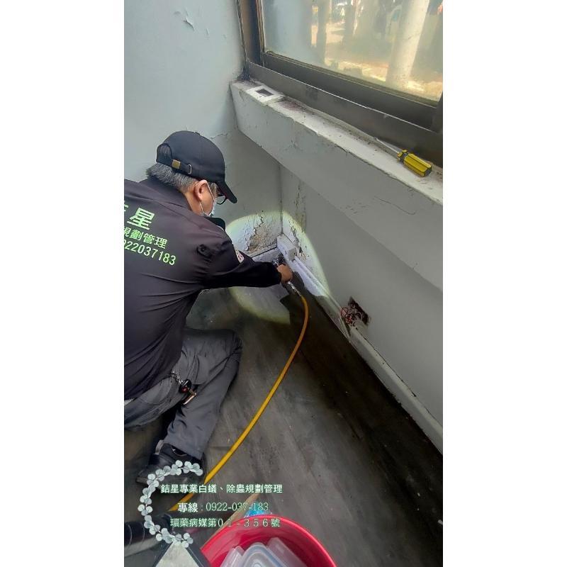 台北市中山區白蟻-銡星