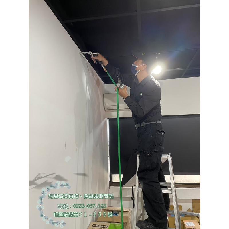 台北市中山區白蟻-銡星