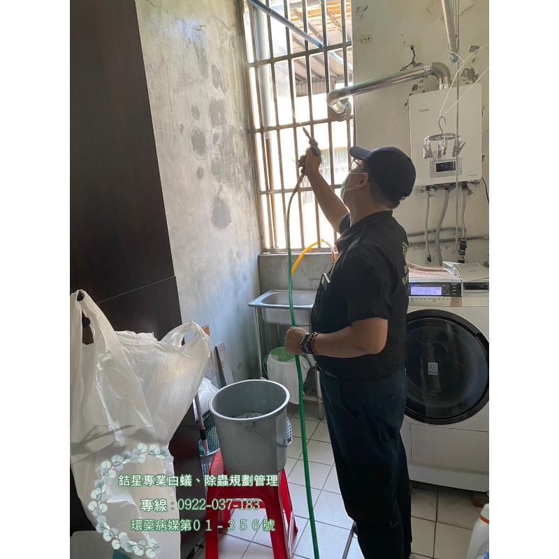 台北住家 白蟻-銡星