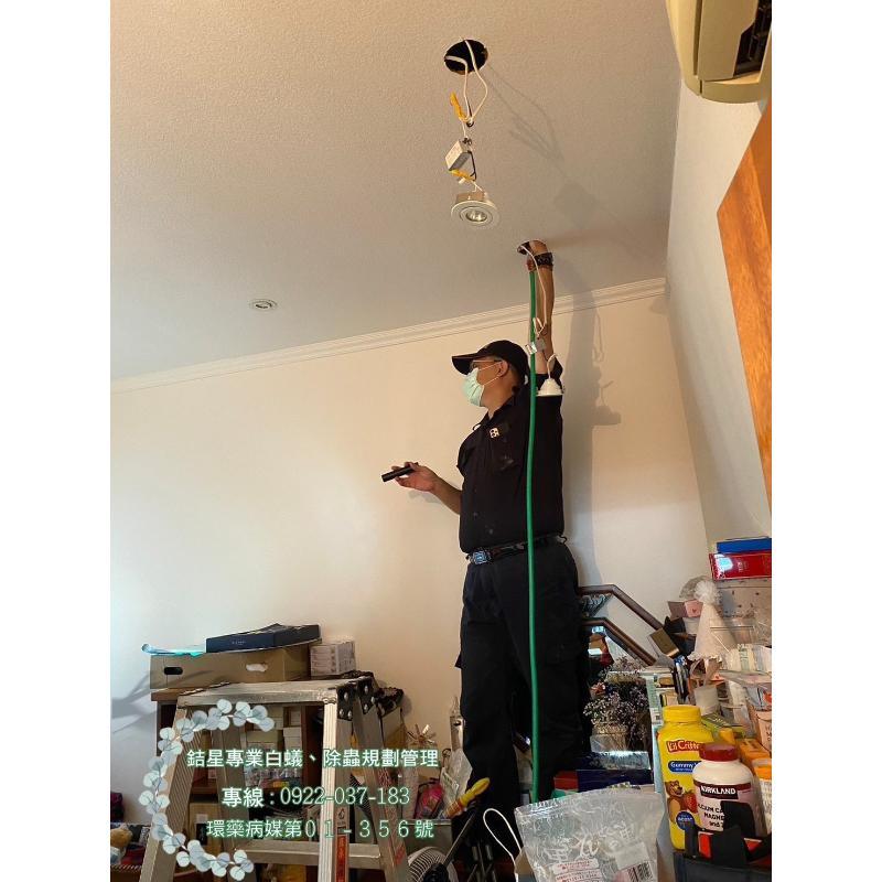 台北住家 白蟻-銡星