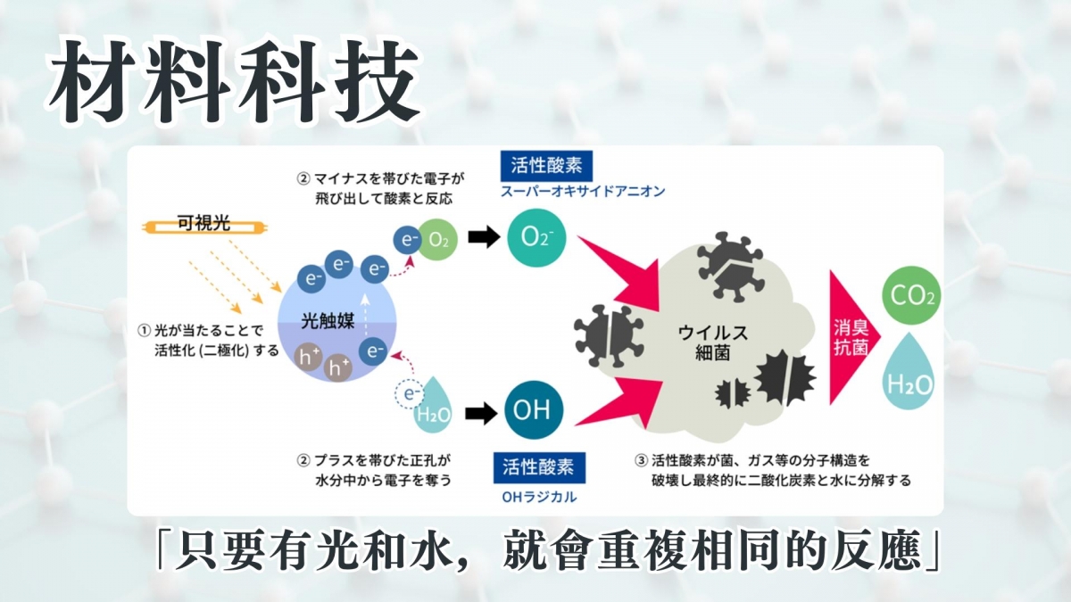 森友家居家鍍膜案例01