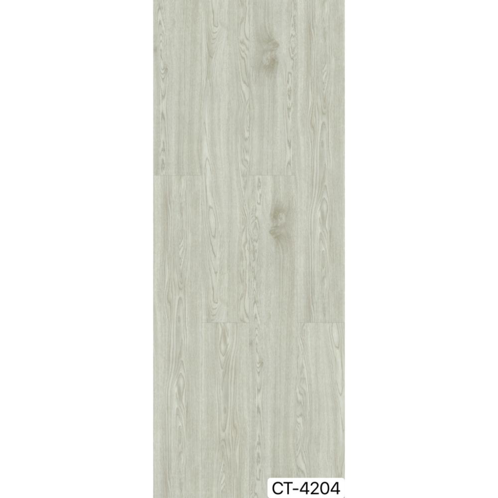 CT-4204