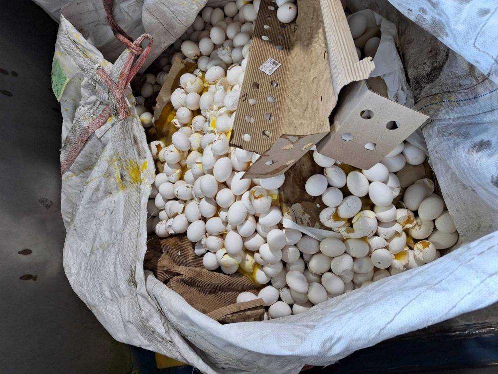 過期食品報廢處理