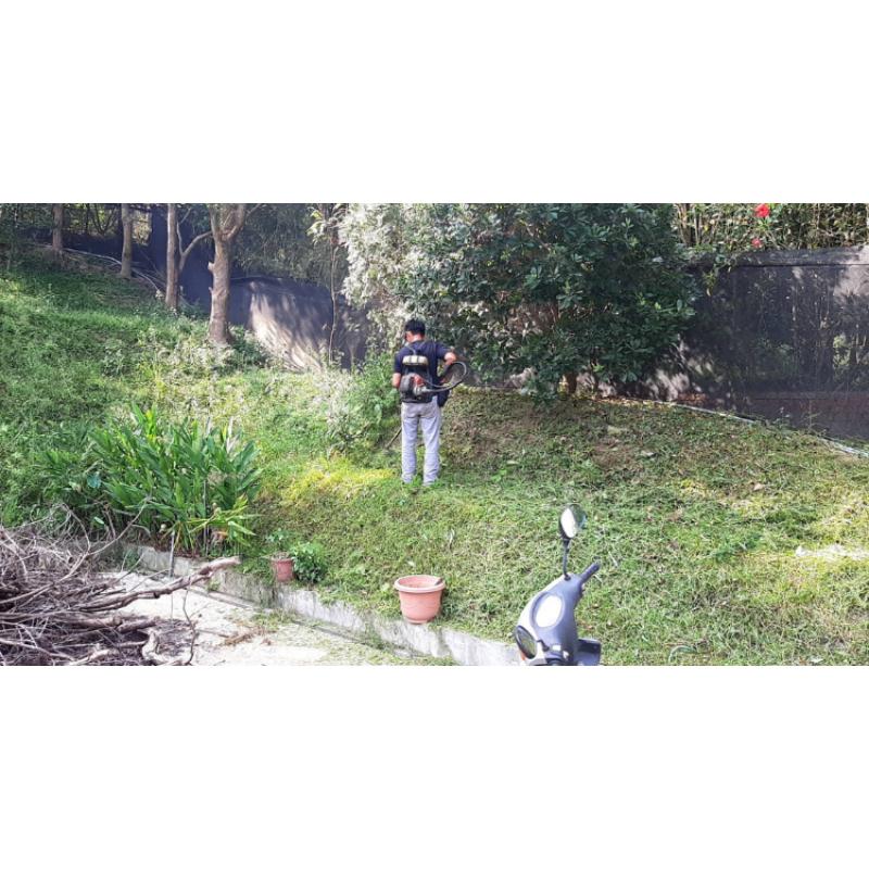 通霄私人度假木屋除草