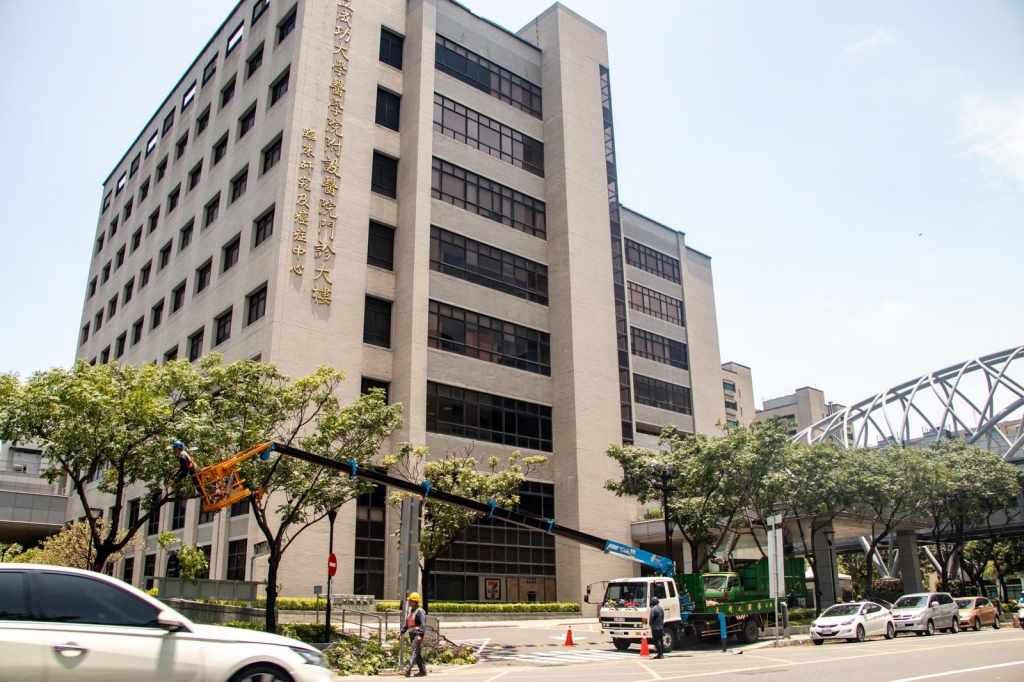 台南成大醫學院 人行道樹木修剪工程-剪樹工程