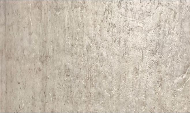 Hoton 6.5mm-岩井