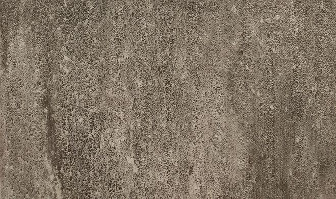 Hoton 6.5mm-石川