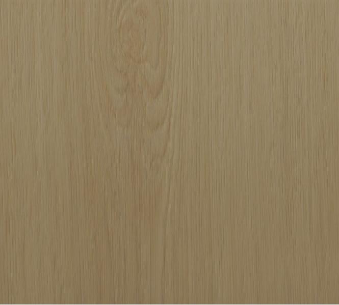 Hoton 6.5mm(同步4V)-H6502