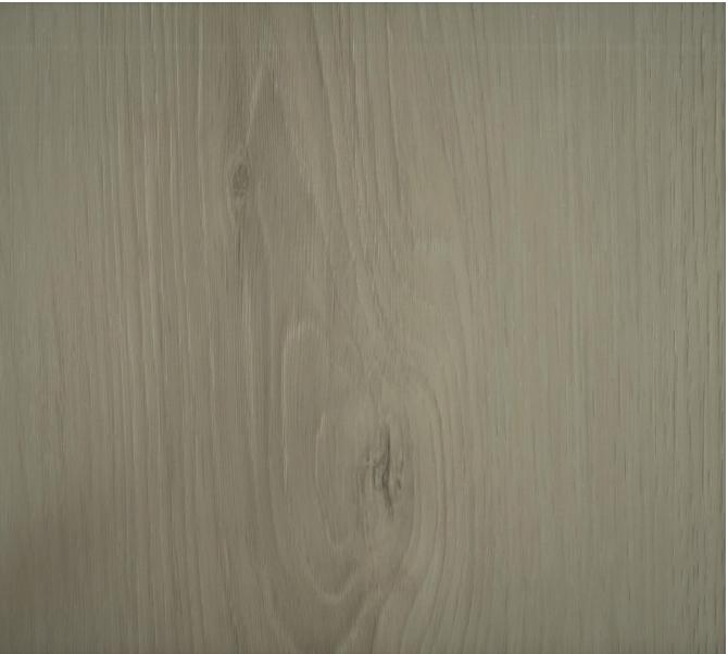Hoton 6.5mm(同步4V)-H6501