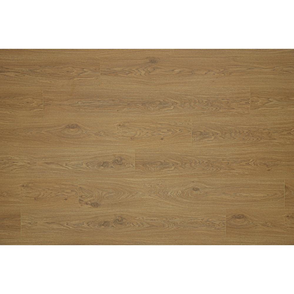 洛特斯原橡|BERRYALLOC