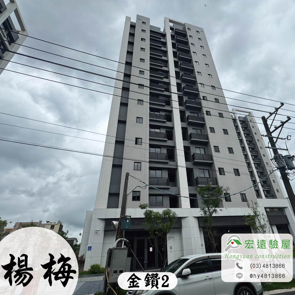 楊梅-金鑽2