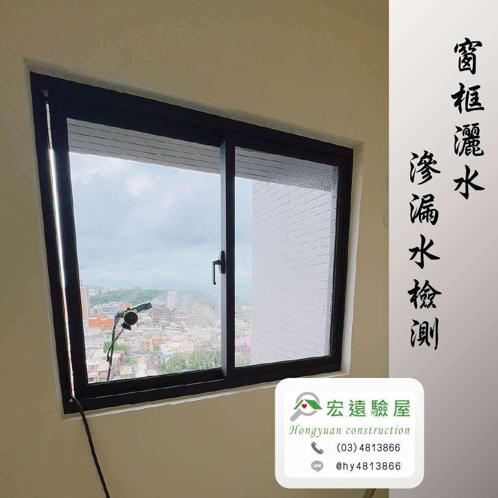 楊梅-金鑽2