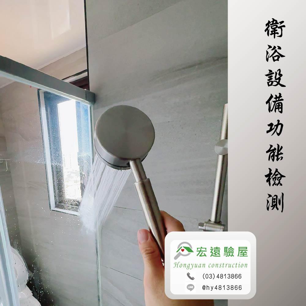 楊梅-金鑽2
