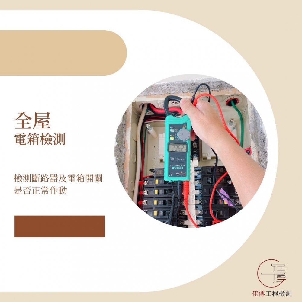 苗栗竹南 - 日頭花