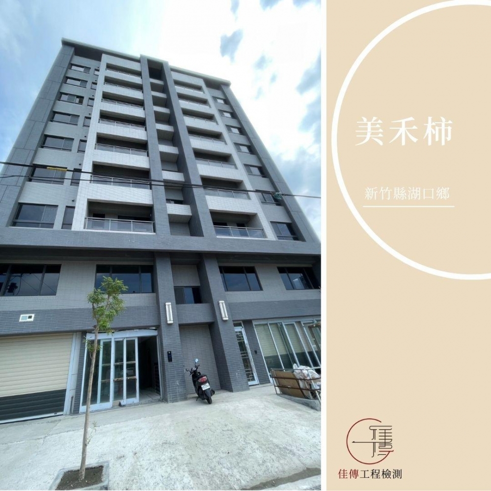 新竹湖口 - 美禾柿