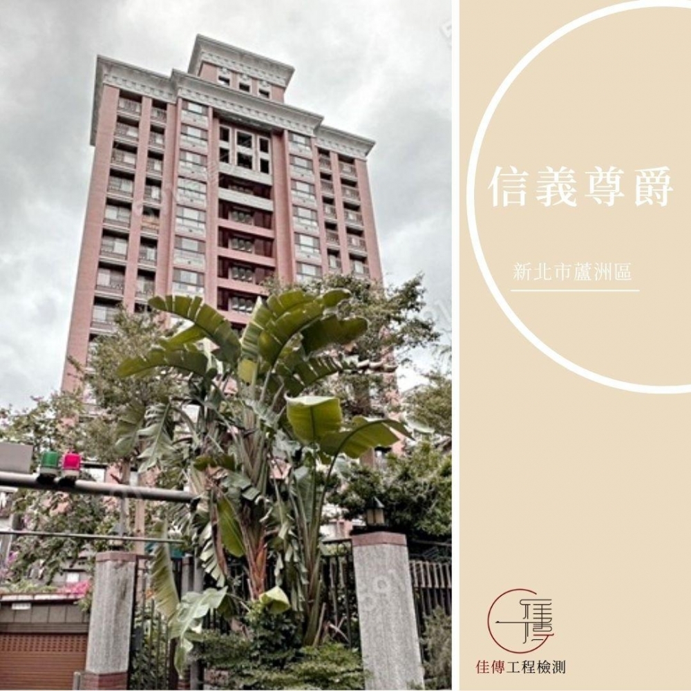 新北蘆洲 - 信義尊