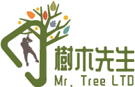 樹木先生-樹木修剪,樹木修剪公司,台北樹木修剪,松山區樹木修剪