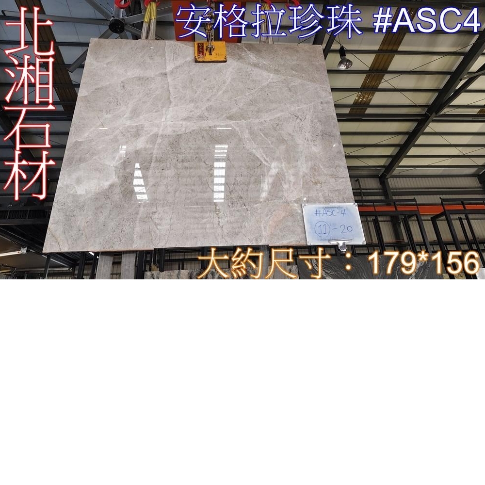 安格拉珍珠 #ASC4