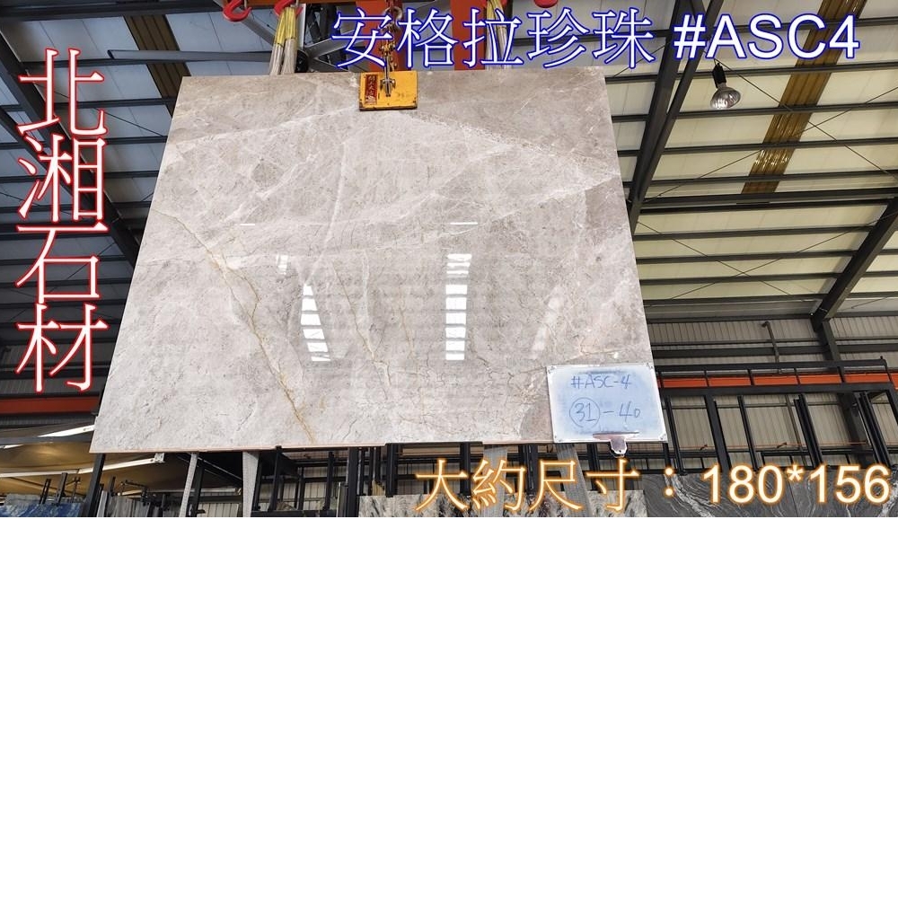 安格拉珍珠 #ASC4