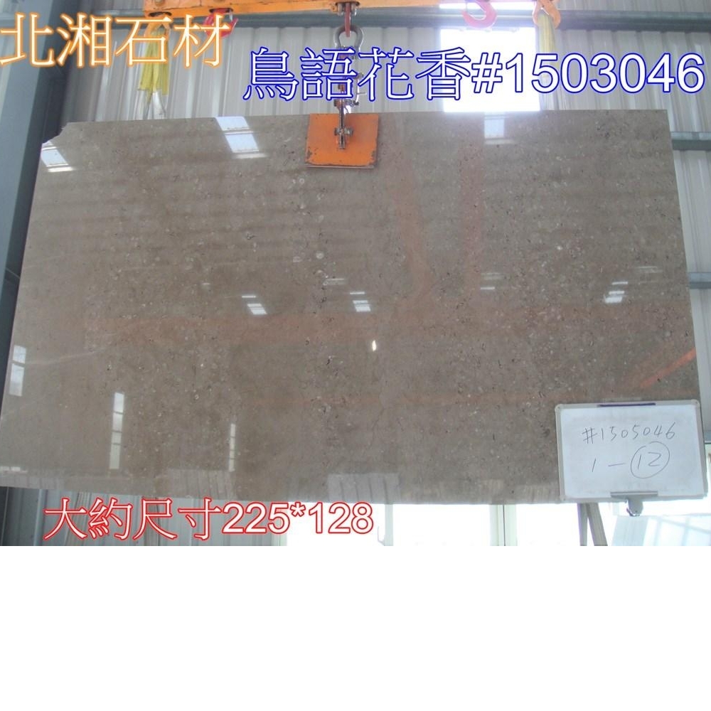 鳥語花香#1505046