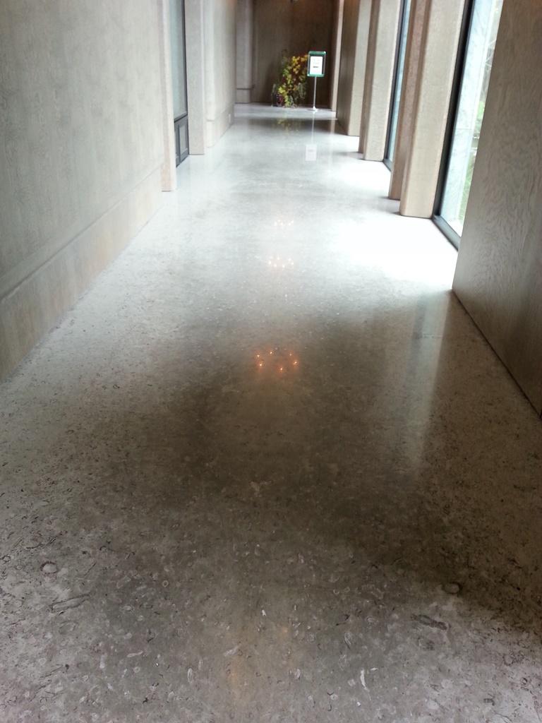 鳥語花香#1505046