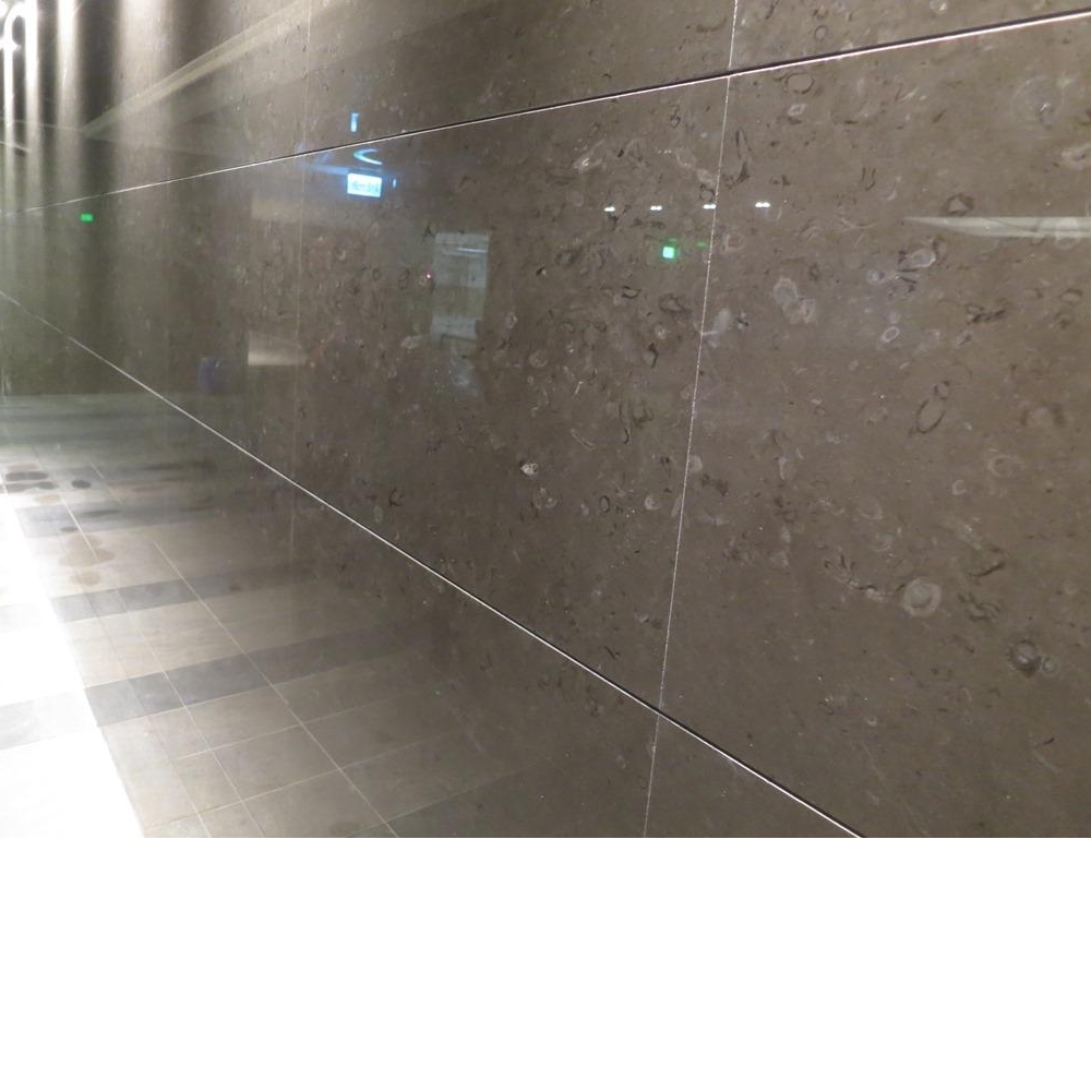 鳥語花香#1505046