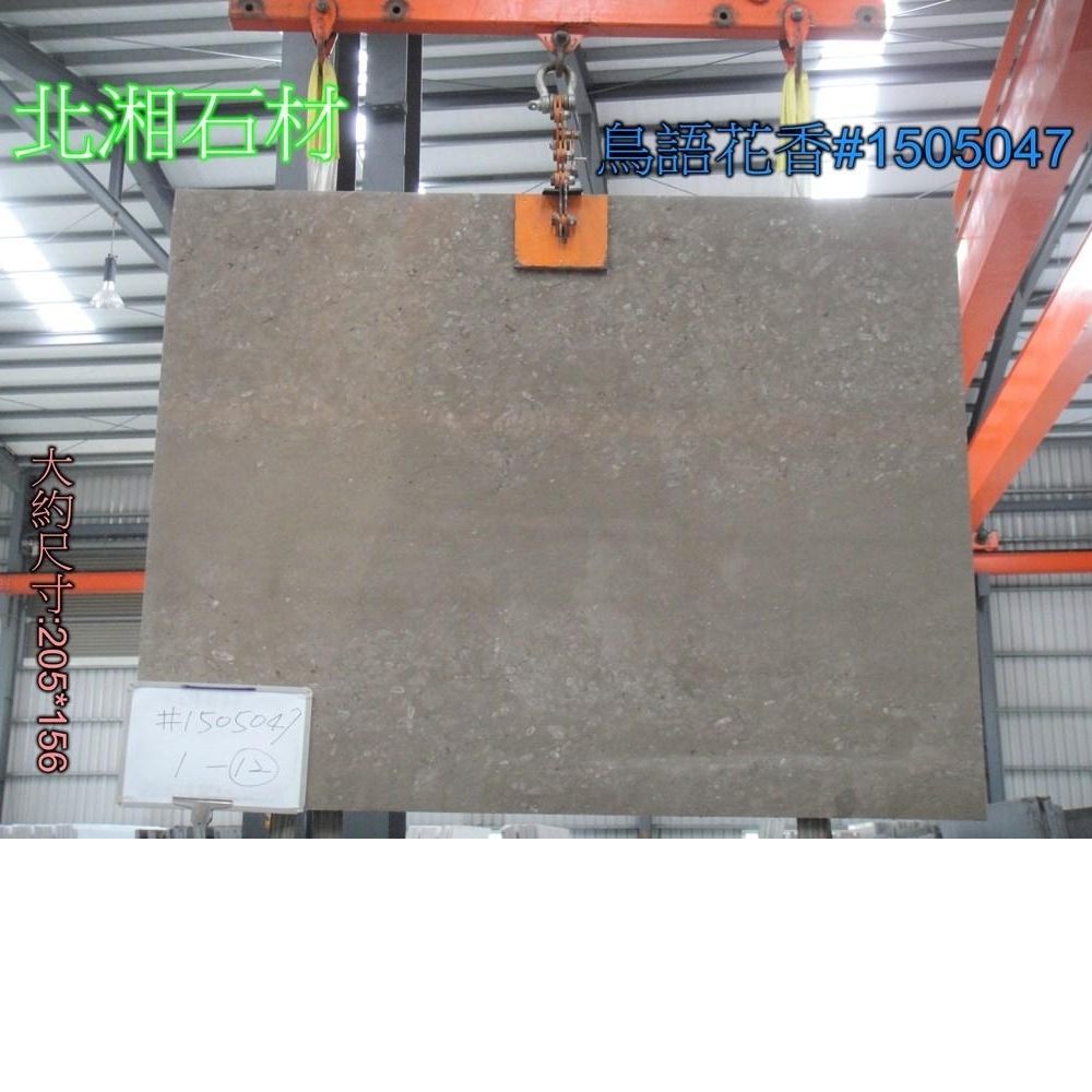 鳥語花香#1505047