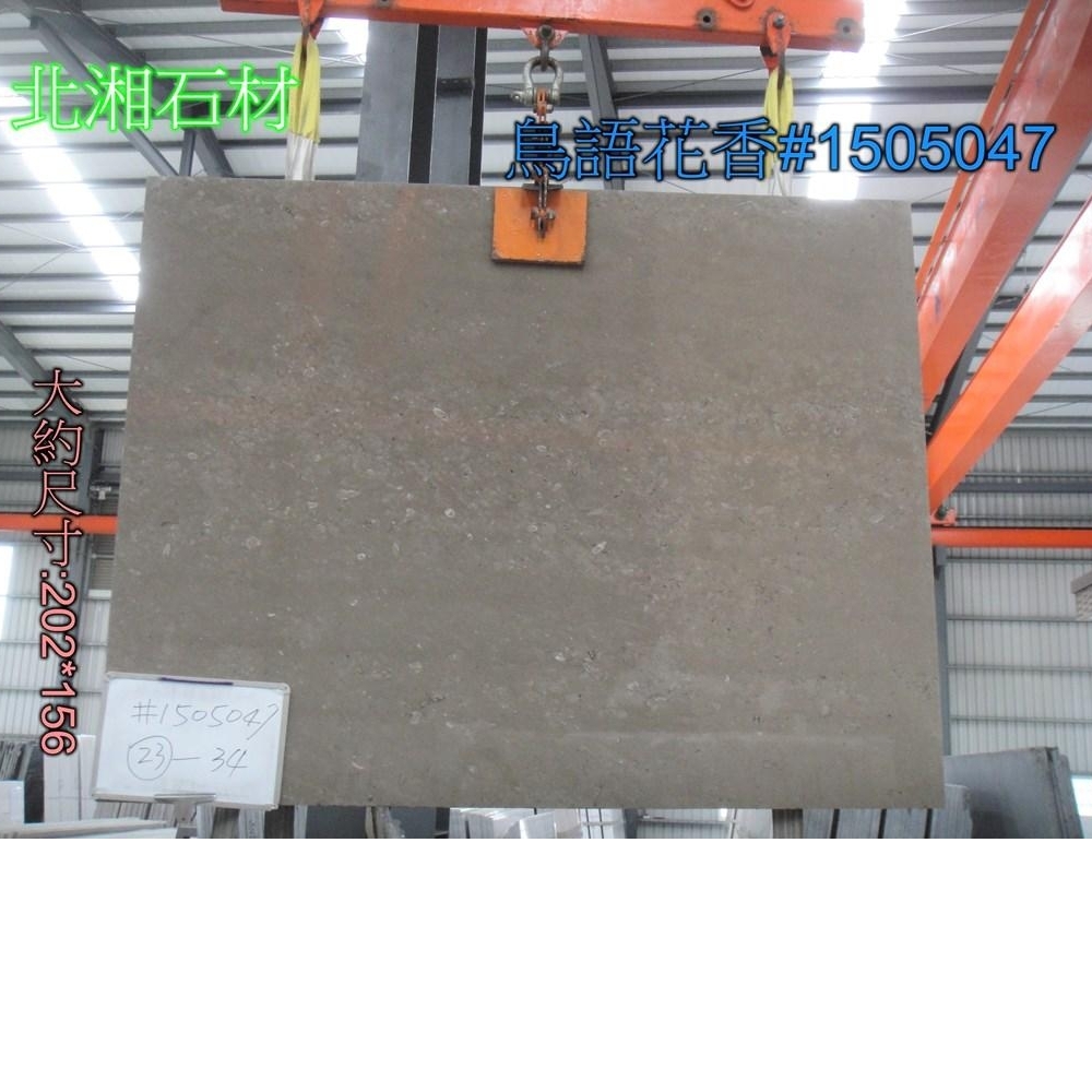 鳥語花香#1505047