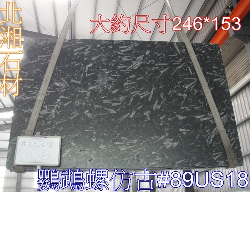 鸚鵡螺仿古面#89US18