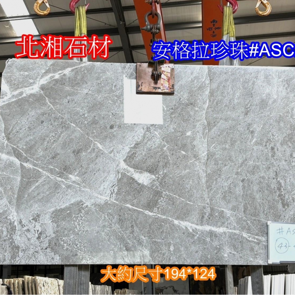 安格拉珍珠#ASC2