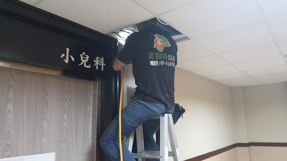 白蟻防治｜高雄除白蟻