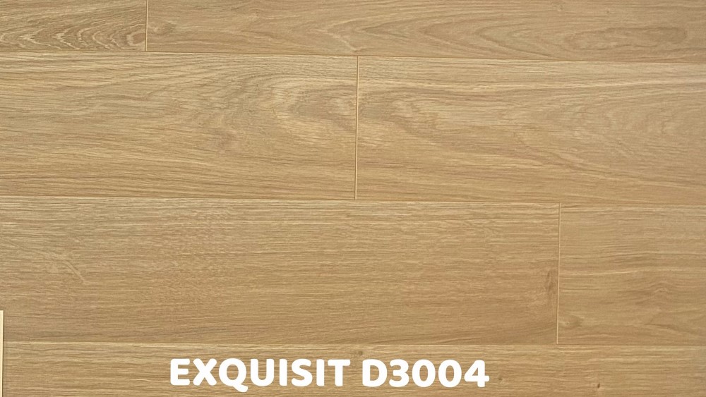 EXQUISIT系列 D3004