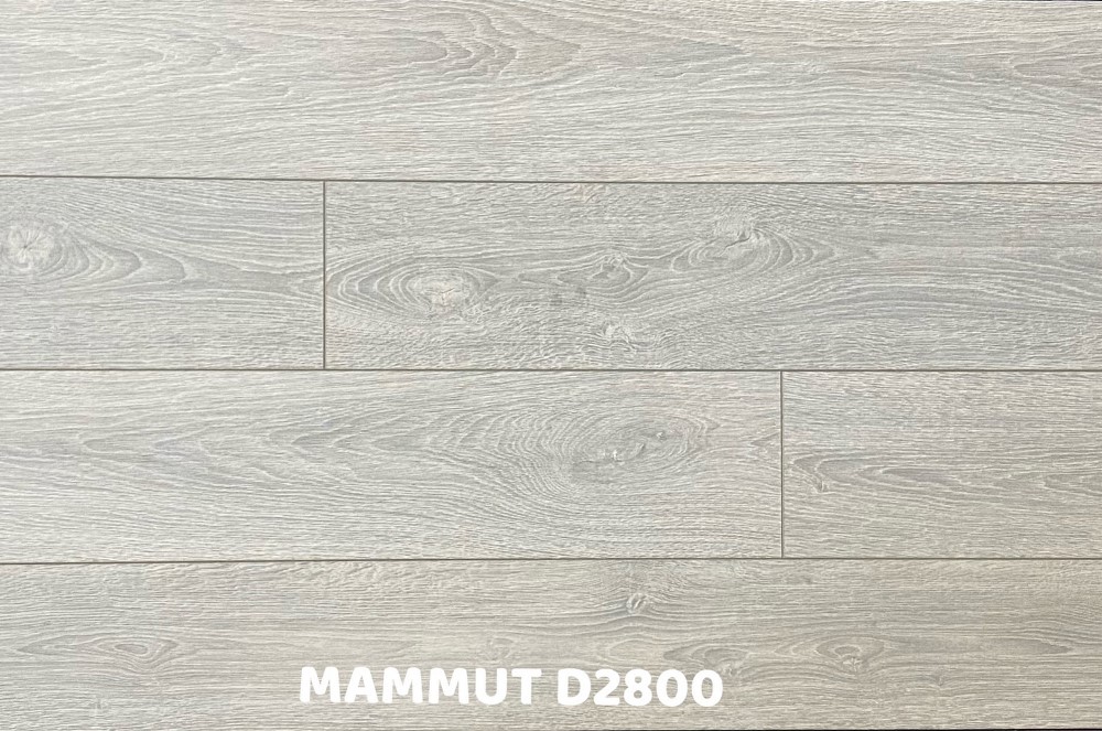 MAMMUT系列 D2800