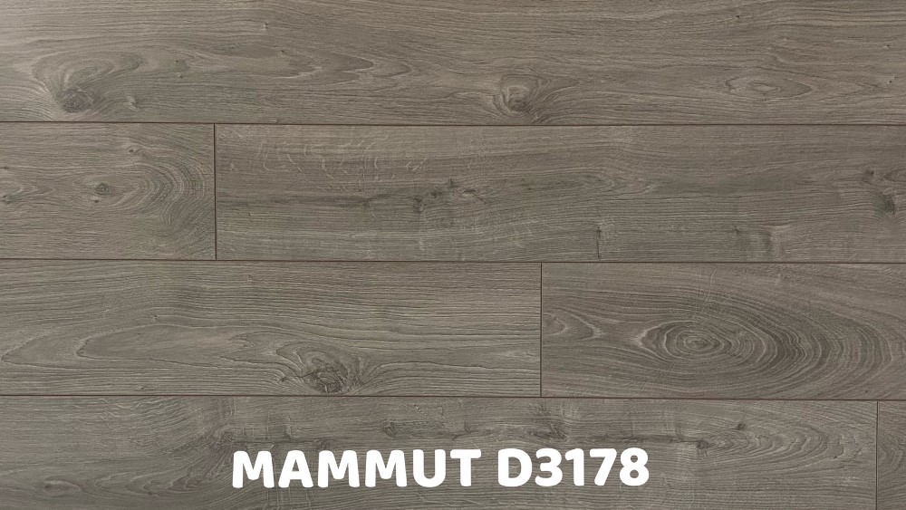 MAMMUT系列 D3178