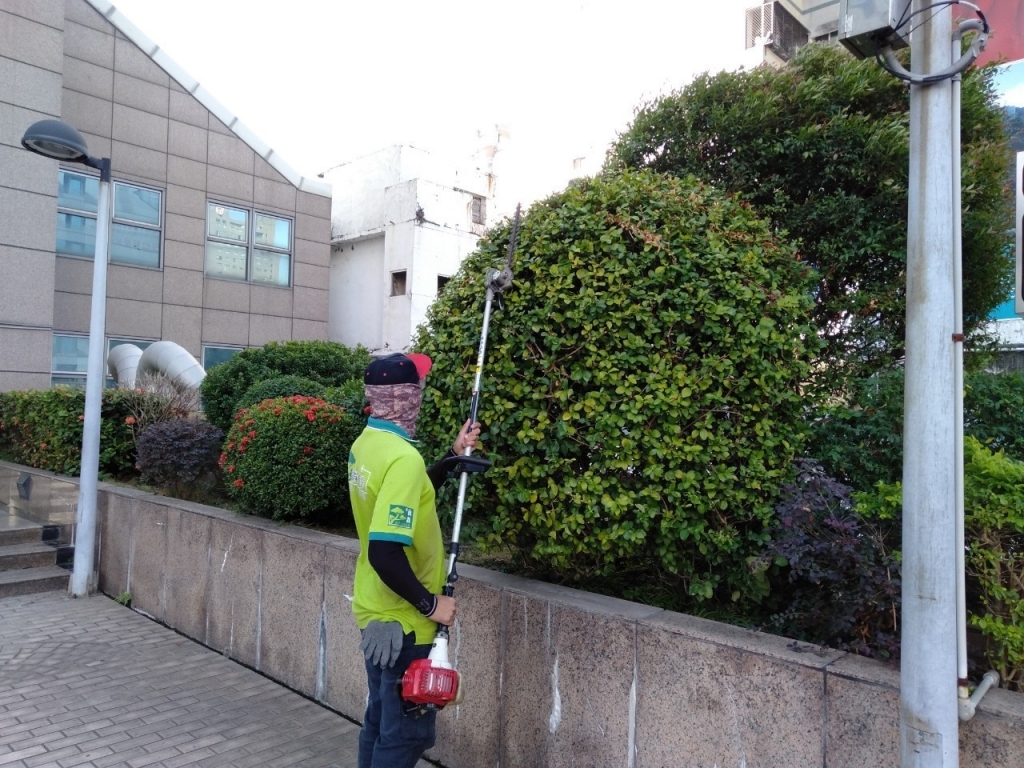 中庭綠地養護工程-植栽養護