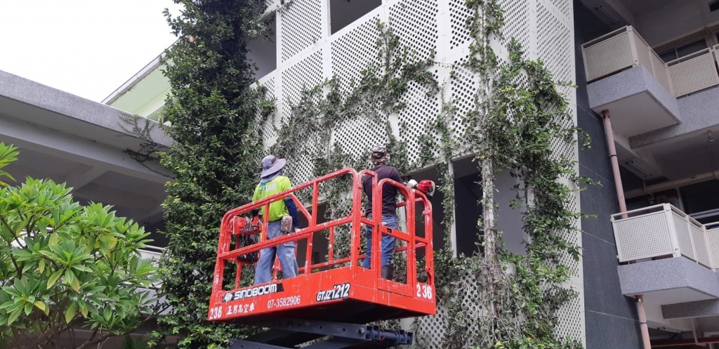 中庭綠地養護工程-植栽養護