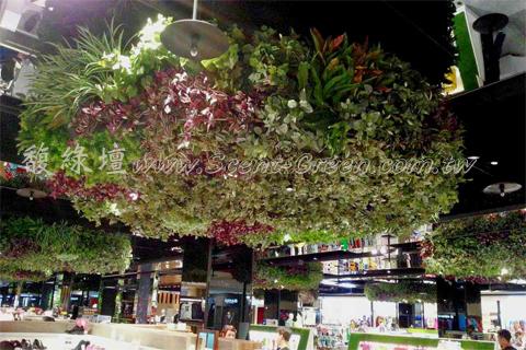 新光三越A11館-大型吊飾植生牆